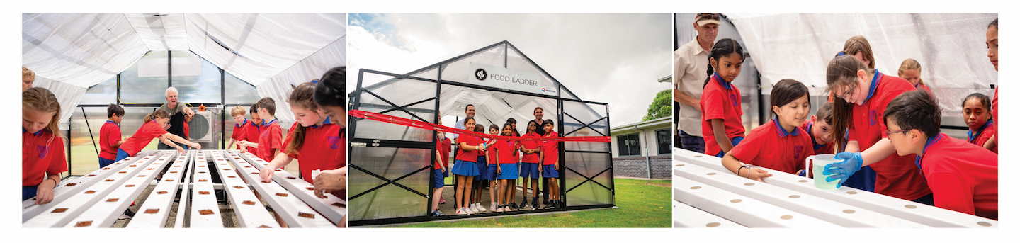 food-ladder-waterford-west-state-school